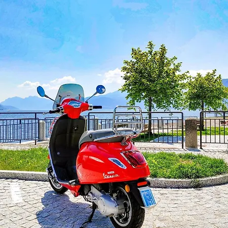 Gelsomino * San Siro (Lombardy)